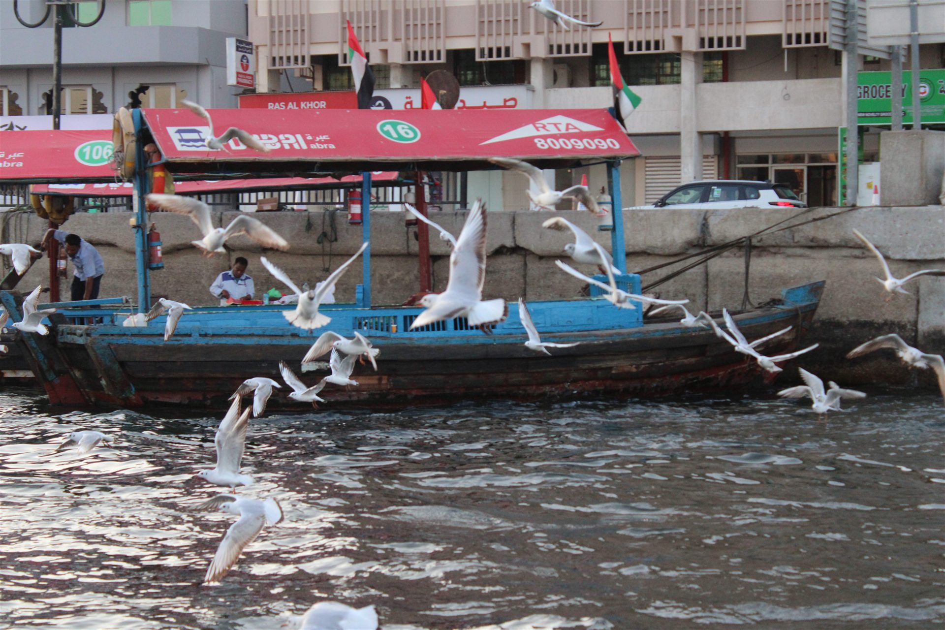 Seagulls flying around a traditional boat on Dubai Creek